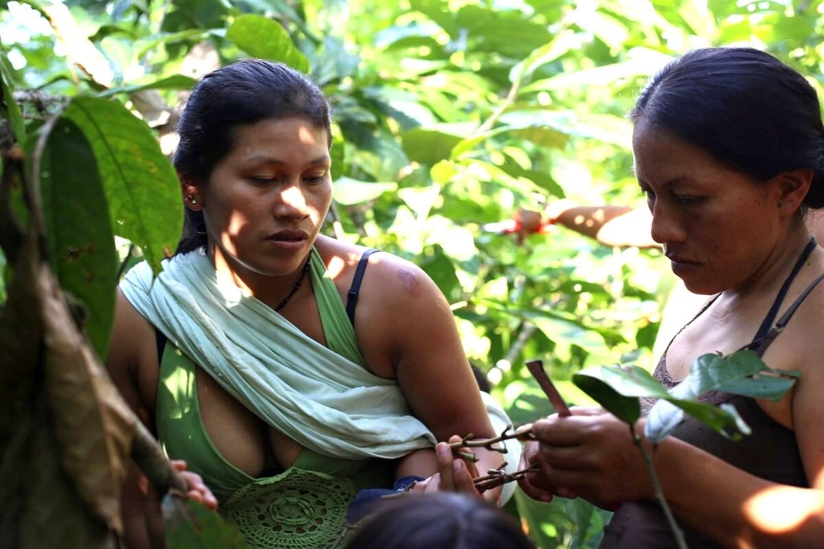 Documentales Recomendados